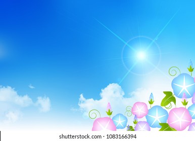 Morning glory summer scenery background