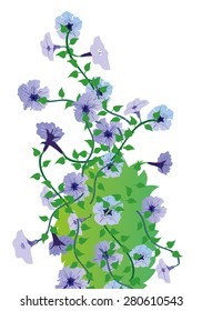 Morning glory vector illustration

