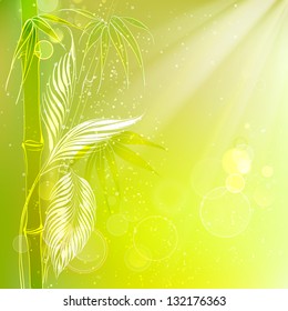 Morning light falls on a forest. Vector illustration, contains transparencies, gradients and effects.