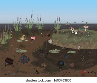 Morning at the pond. Vector illustration on the theme of nature and aquatic life.