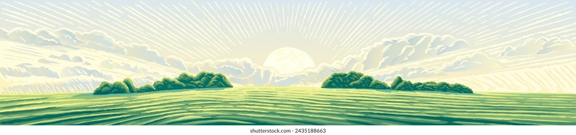 Morning rural landscape with hills, an elongated format for the convenience of using it as a background. VEctor illustration.