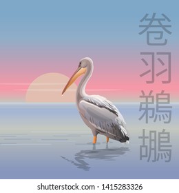 Morning seascape with dalmatian pelican. Vector realistic image. Text meaning dalmatian pelican in Chinese