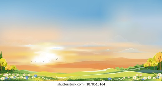 Morning sky with orange and blue sky with clouds, Natural Spring landscape in countryside with green meadow on hills,Vector cartoon Summer landscape,Panoramic village with grass field and wildflower