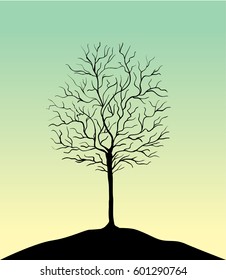 Morning sky , sunlight and leafless tree
vector nature illustration