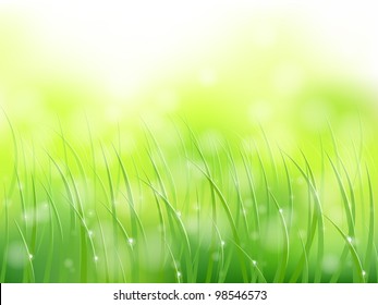 morning sunlight grass early dew softfocus pattern