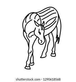 Moroccan mule vector hand drawing. Line art of domestic animal. Travel sketch