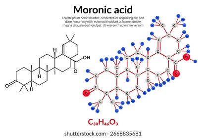 Ácido morónico, fórmula de estructura molecular, modelo de bola y palo, adecuado para contenido de educación o ciencia química. Ilustración vectorial