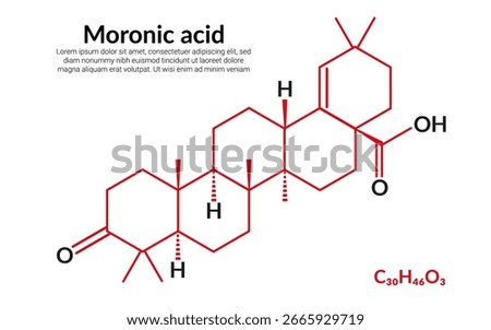 Moronic acid, molecular structure formula, suitable for education or chemistry science content. Vector illustration