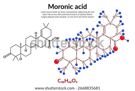 Moronic acid, molecular structure formula, ball-and-stick model, suitable for education or chemistry science content. Vector illustration