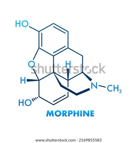 Morphine concept chemical formula icon label, text font vector illustration