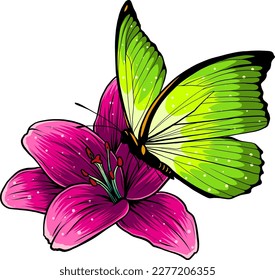 Morpho-Schmetterling auf weißem Hintergrund. Vektorgrafik.