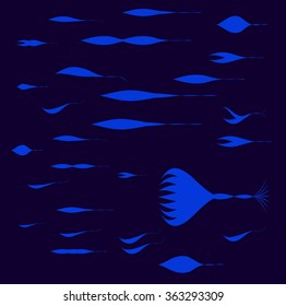 The morphology of the sperm
