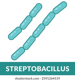 Morphology Streptobacillus  Shape Design Illustration
