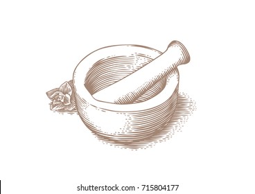 Mortar bowl and pestle with fresh green oregano