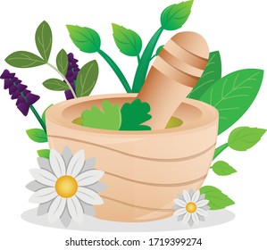 Mortar herbal leaves and flowers vector illustration design