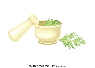 Mortar and Pestle with Fresh Wormwood or Southernwood Plant Vector Composition