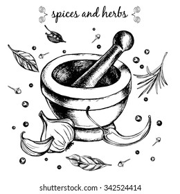 Mortar and pestle, garlic, hot pepper, black pepper, cloves, bay leaf, rosemary and cardamom. Hand-drawn vector  illustration.