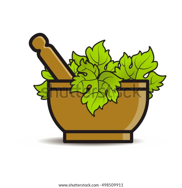 Mortar Pestle Grape Leaves Colorvector Drawing Stock Vector Royalty Free 498509911