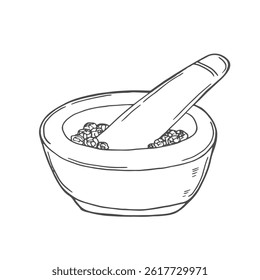 Mortar and pestle hand drawn vector illustration. Hand drawn sketch