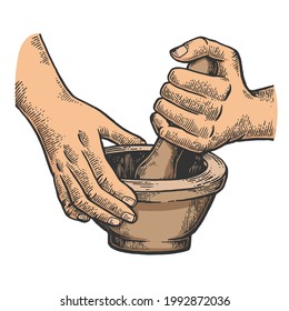 Mortar And Pestle In Hands Color Line Art Sketch Engraving Vector Illustration. T-shirt Apparel Print Design. Scratch Board Imitation. Black And White Hand Drawn Image.