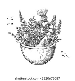 Mortar and pestle with herbs. Alternative medicine objects vector drawing. Herbal plants, leaves and flowers sketch. Botanical illustration. Label for wellness, homeopathy treatment, organic products