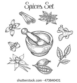 Mortar And Pestle With Spices. Hand Drawn Sketch Vector Retro Vintage Illustration. Bowl, Vessel For Milling Spice And Medical Herbs. Hand Mill. Isolated On White Background