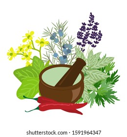 Mortar and pestle surrounded by herbs and red peppers, vector
