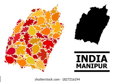 Mosaic autumn leaves and solid map of Manipur State. Vector map of Manipur State is constructed of scattered autumn maple and oak leaves. Abstract geographic scheme in bright gold, red,
