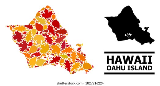 Mosaic autumn leaves and solid map of Oahu Island. Vector map of Oahu Island is shaped from randomized autumn maple and oak leaves. Abstract territory plan in bright gold, red,