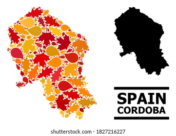 Mosaic autumn leaves and solid map of Cordoba Spanish Province. Vector map of Cordoba Spanish Province is made of random autumn maple and oak leaves. Abstract territory scheme in bright gold, red,