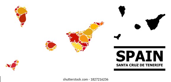 Mosaic autumn leaves and solid map of Santa Cruz de Tenerife Province. Vector map of Santa Cruz de Tenerife Province is designed from random autumn maple and oak leaves.