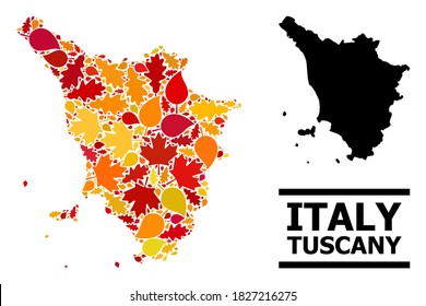 Mosaic autumn leaves and solid map of Tuscany region. Vector map of Tuscany region is done of scattered autumn maple and oak leaves. Abstract geographic plan in bright gold, red,