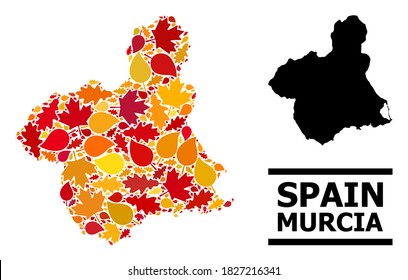 Mosaic autumn leaves and solid map of Murcia Province. Vector map of Murcia Province is created from scattered autumn maple and oak leaves. Abstract territory scheme in bright gold, red,