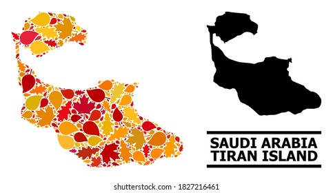 Mosaic autumn leaves and solid map of Tiran Island. Vector map of Tiran Island is constructed with randomized autumn maple and oak leaves. Abstract geographic plan in bright gold, red,