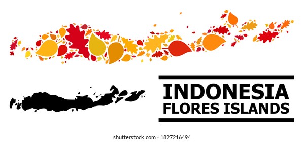 Mosaic autumn leaves and solid map of Indonesia - Flores Islands. Vector map of Indonesia - Flores Islands is made with scattered autumn maple and oak leaves.