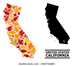 Mosaic autumn leaves and solid map of California. Vector map of California is constructed from scattered autumn maple and oak leaves. Abstract geographic scheme in bright gold, red,