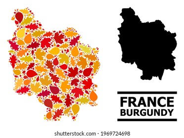 Mosaic autumn leaves and solid map of Burgundy Province. Vector map of Burgundy Province is organized from random autumn maple and oak leaves. Abstract geographic plan in bright gold, red,