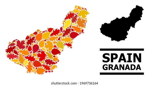 Mosaic autumn leaves and solid map of Granada Province. Vector map of Granada Province is made with scattered autumn maple and oak leaves. Abstract territory scheme in bright gold, red,