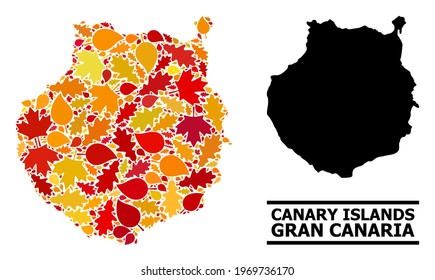 Mosaic autumn leaves and solid map of Gran Canaria. Vector map of Gran Canaria is designed with random autumn maple and oak leaves. Abstract territory scheme in bright gold, red,