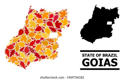Mosaic autumn leaves and solid map of Goias State. Vector map of Goias State is constructed of random autumn maple and oak leaves. Abstract territorial plan in bright gold, red,