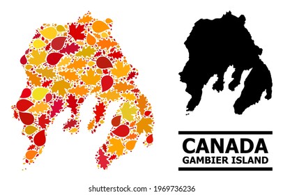 Mosaic autumn leaves and solid map of Gambier Island. Vector map of Gambier Island is constructed with randomized autumn maple and oak leaves. Abstract geographic scheme in bright gold, red,