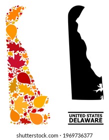 Mosaic autumn leaves and solid map of Delaware State. Vector map of Delaware State is composed of scattered autumn maple and oak leaves. Abstract territorial scheme in bright gold, red,