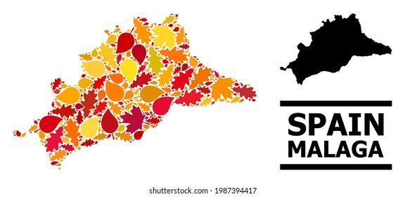 Mosaic autumn leaves and solid map of Malaga Province. Vector map of Malaga Province is constructed from randomized autumn maple and oak leaves. Abstract territory scheme in bright gold, red,