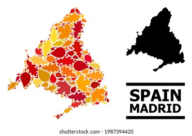 Mosaic autumn leaves and solid map of Madrid Province. Vector map of Madrid Province is created from scattered autumn maple and oak leaves. Abstract territorial plan in bright gold, red,
