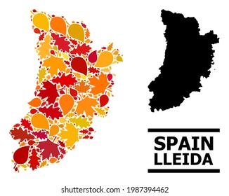 Mosaic autumn leaves and solid map of Lleida Province. Vector map of Lleida Province is designed from randomized autumn maple and oak leaves. Abstract territorial plan in bright gold, red,