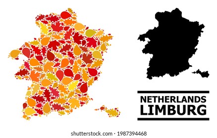 Mosaic autumn leaves and solid map of Limburg Province. Vector map of Limburg Province is designed of random autumn maple and oak leaves. Abstract territory scheme in bright gold, red,