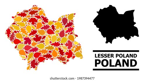 Mosaic autumn leaves and solid map of Lesser Poland Province. Vector map of Lesser Poland Province is organized of random autumn maple and oak leaves. Abstract territorial scheme in bright gold, red,