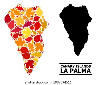 Mosaic autumn leaves and solid map of La Palma Island. Vector map of La Palma Island is constructed with randomized autumn maple and oak leaves. Abstract territorial plan in bright gold, red,