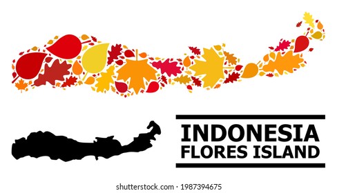 Mosaic autumn leaves and solid map of Indonesia - Flores Island. Vector map of Indonesia - Flores Island is done with scattered autumn maple and oak leaves. Abstract territorial plan in bright gold,
