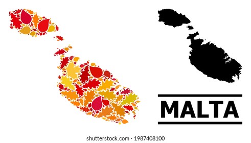 Mosaic autumn leaves and solid map of Malta. Vector map of Malta is done of randomized autumn maple and oak leaves. Abstract territorial plan in bright gold, red, brown colors for map of Malta.